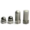 Custom Stainless Steel Extra Tall Flat Acorn Cap Nuts