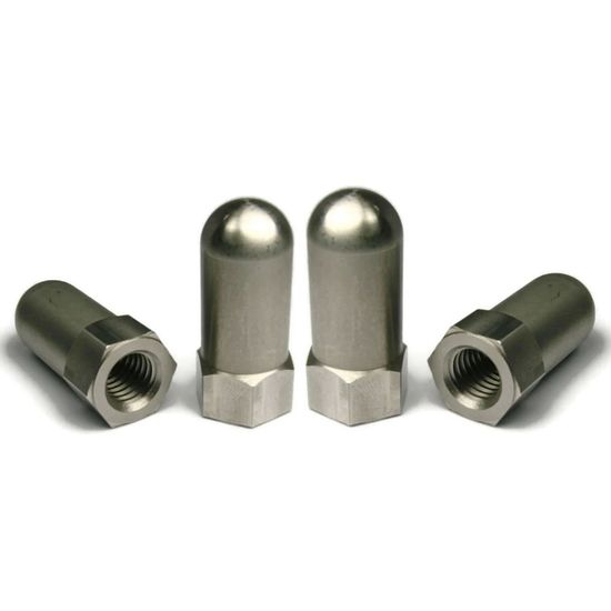 Custom Stainless Steel Extra Tall Flat Acorn Cap Nuts