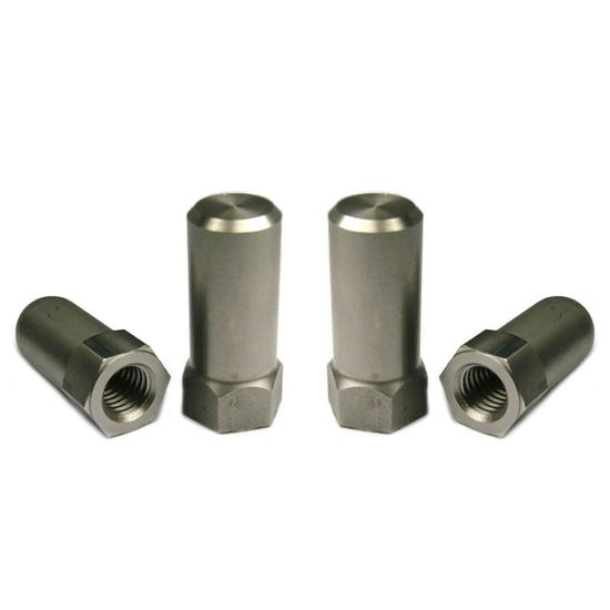 Custom Stainless Steel Extra Tall Flat Acorn Cap Nuts