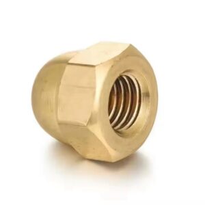 temp_DIN-1587-High-Quality-Hot-Selling-Brass-Hex-Domed-Cap-Nuts_01-1.jpg DIN 1587 High Quality Hot Selling Brass Hex Domed Cap Nuts