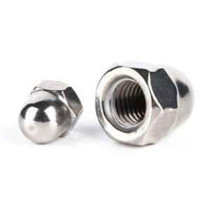 temp_High-Quality-M5-M6-M8-M10-Stainless-Steel-Hexagon-Domed-Cap-Nuts-DIN1587_01-1.jpg High Quality M5 M6 M8 M10 Stainless Steel Hexagon Domed Cap Nuts DIN1587
