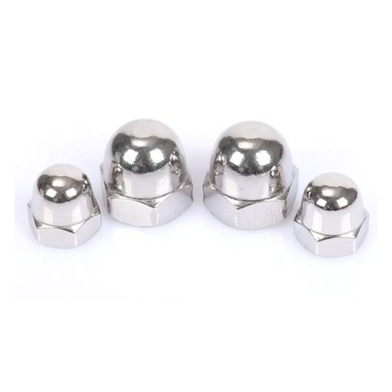 temp_High-Quality-M5-M6-M8-M10-Stainless-Steel-Hexagon-Domed-Cap-Nuts-DIN1587_05-1.jpg High Quality M5 M6 M8 M10 Stainless Steel Hexagon Domed Cap Nuts DIN1587