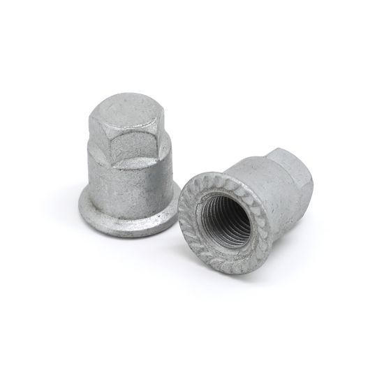 temp_Pentagonal-Flange-Cap-Nuts_02-2.jpg Pentagonal Flange Cap Nuts