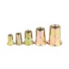 temp_Zinc-Plated-Carbon-SteelStainless-Steel-Flat-Head-Knurled-Threaded-Insert-RivetHex-Nut_05-1.jpg Zinc Plated Carbon Steel/Stainless Steel Flat Head Knurled Threaded Insert Rivet/Hex Nut